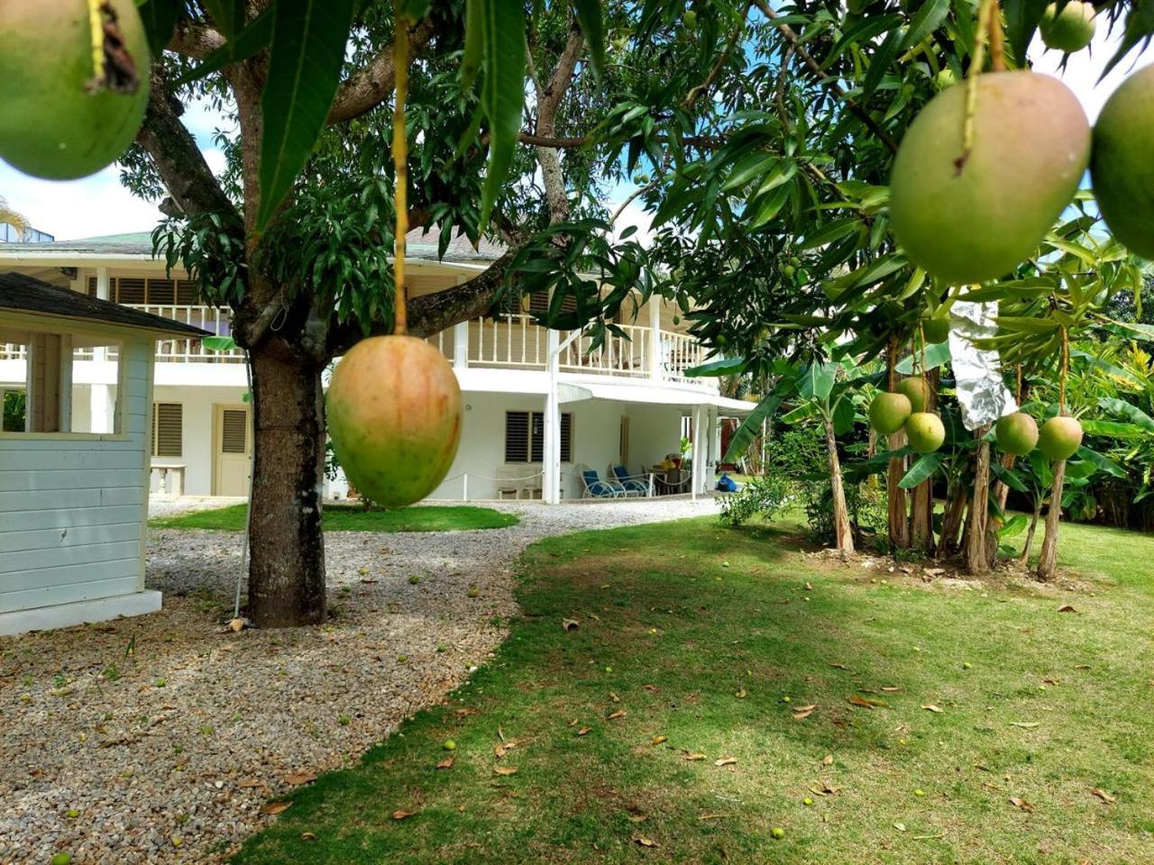 Hotel Casa Robinson Las Terrenas Exterior foto